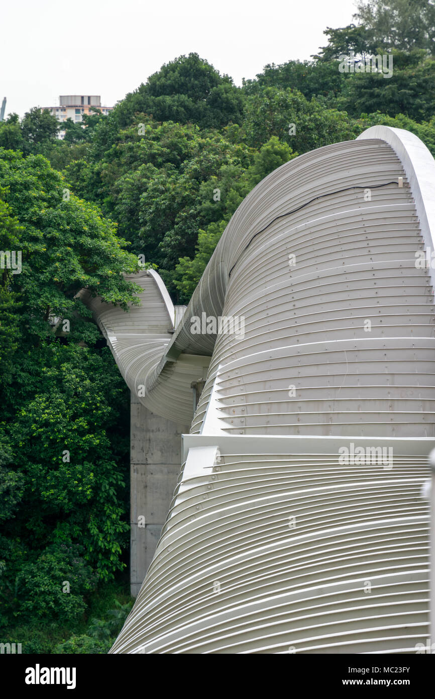 Vista ingrandita dell ondulazione struttura concreta di Henderson ponte onde in Singapore circondato dal verde della foresta durante la mattina nuvoloso giorno. Foto Stock