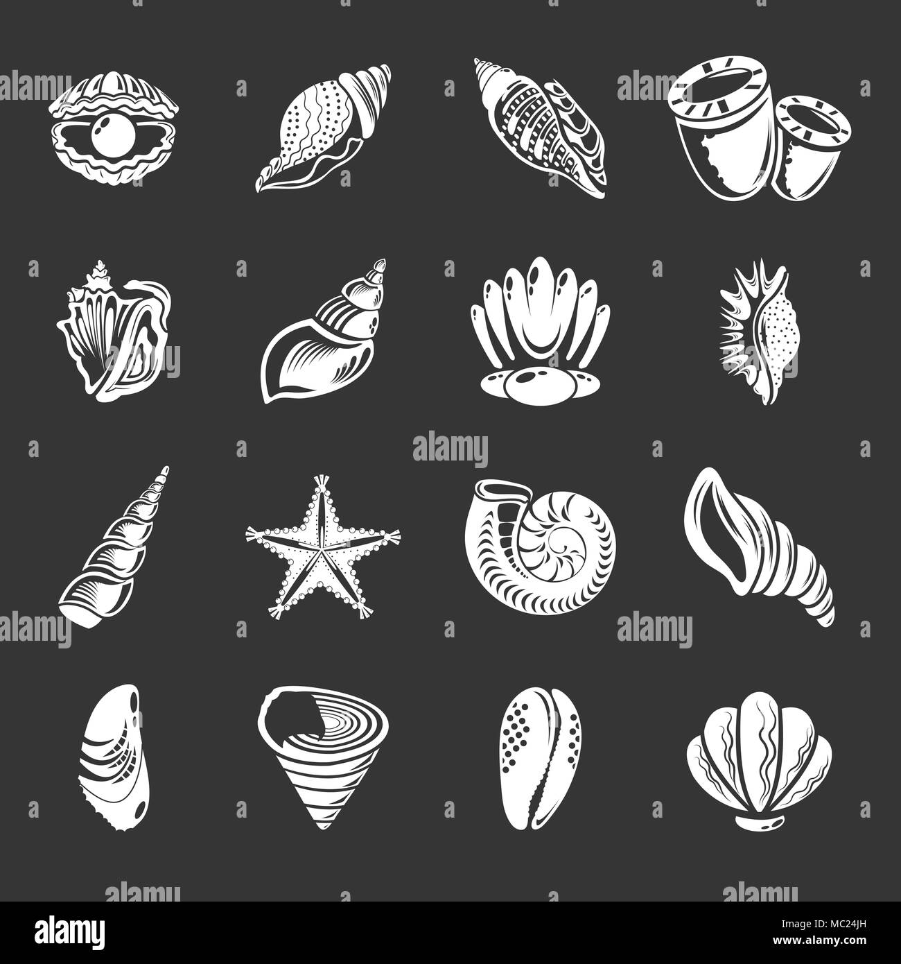 Mare tropicale shell set di icone vettore grigio Illustrazione Vettoriale