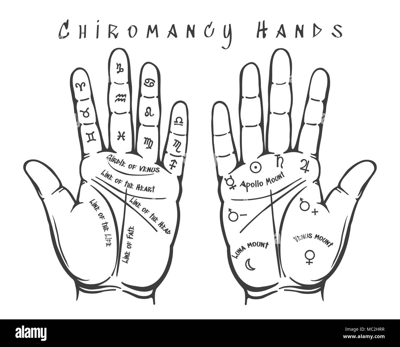 Chiromanzia mani illustrazione Illustrazione Vettoriale