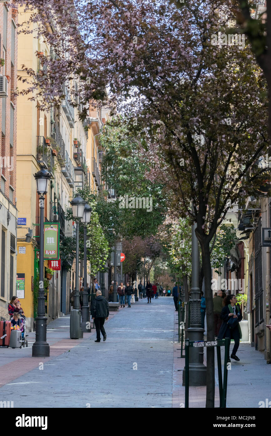 Spring Street scena sulla Calle Huertas nel Barrio de las Letras, Madrid, con turisti camminare sotto gli alberi di fioritura Foto Stock