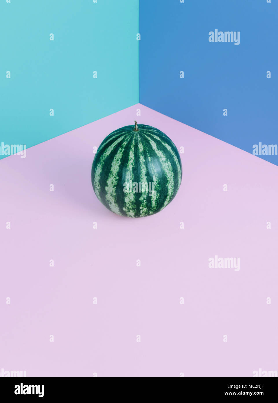 Anguria Fashion su sfondo color pastello. Foto Stock