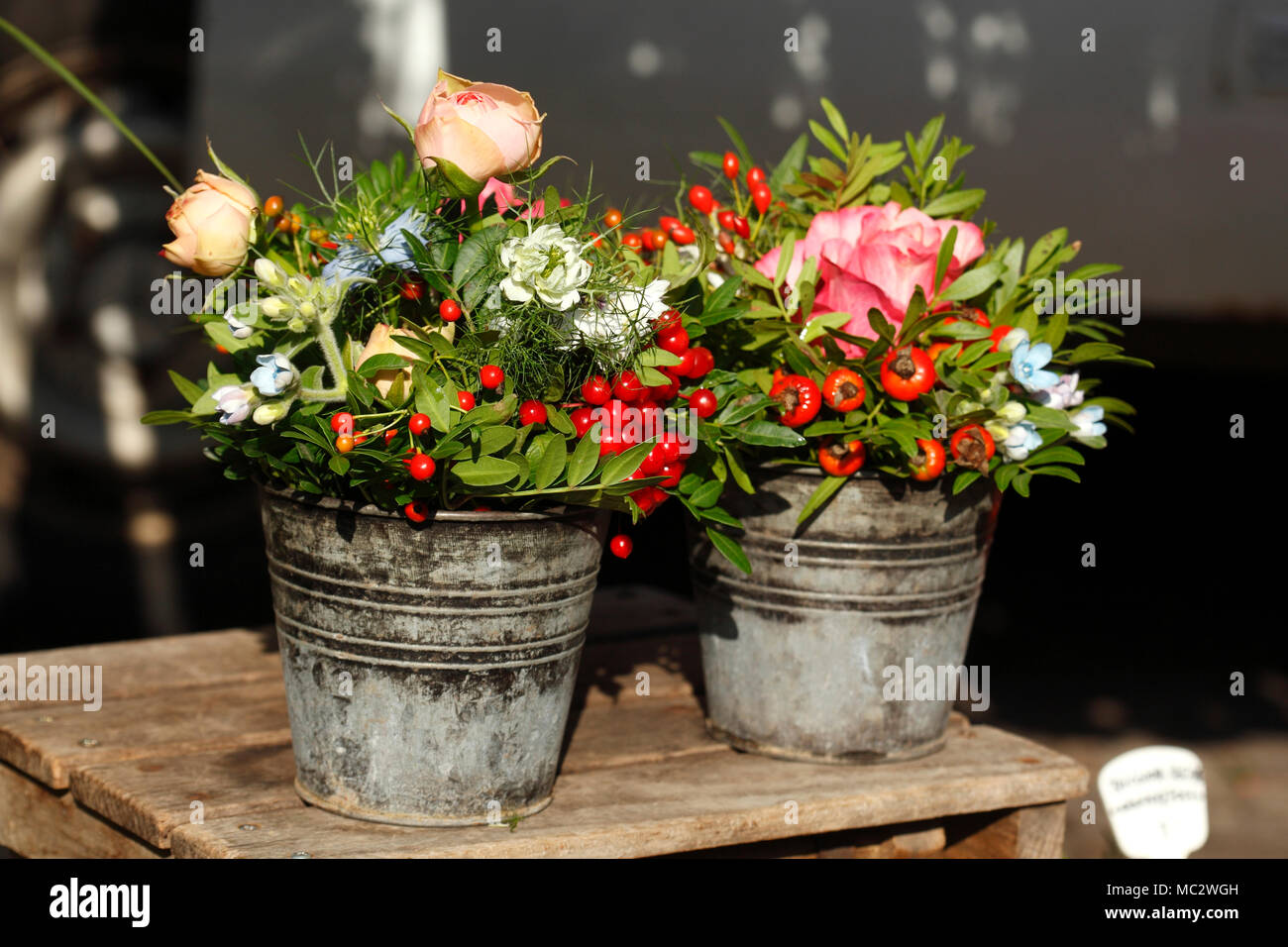 Fiori d'estate in vasi di fiori su un mercato dei fiori, Brema, Germania,  Europa mi Sommerblumen in Blumenkübeln auf dem Blumenmarkt, Brema,  Deutschland, UE Foto stock - Alamy