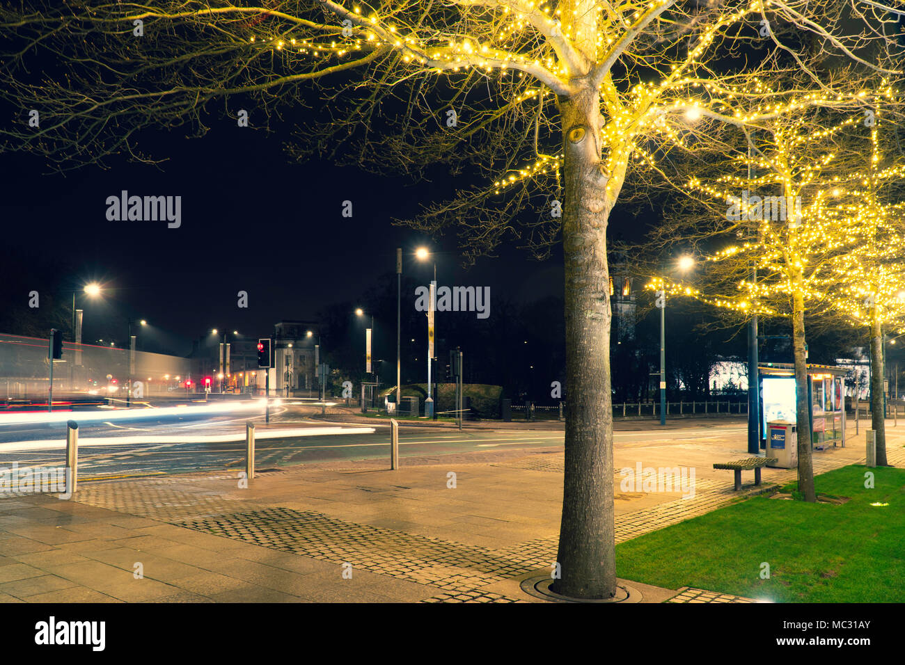 Immagine di un albero in una strada con luci tettuccio sull'albero, nota anche la pittura di luce dalle vetture di passaggio. visibile semaforo. Foto Stock