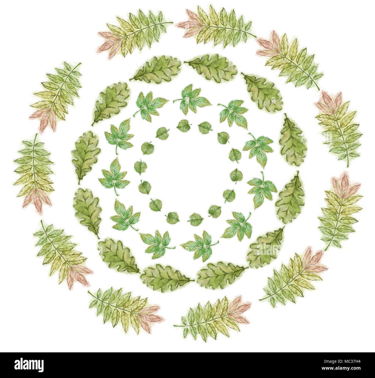 Set di quattro foglie verde ghirlande. Foglie di corone raccolta isolati su sfondo bianco. Albero di foresta lascia il Design circolare. Estate lascia nella circolare Mo. Foto Stock