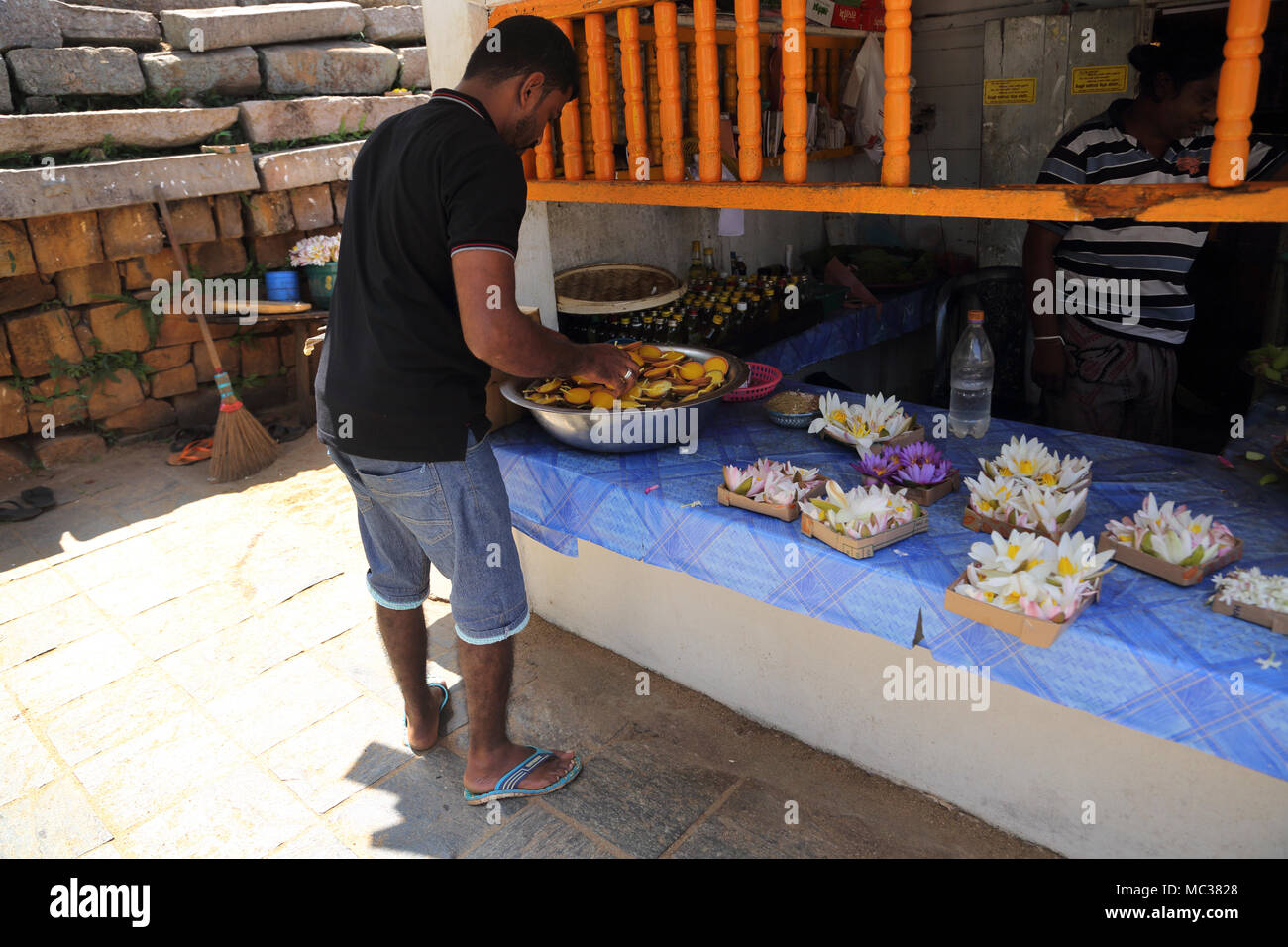 Anuradhapura Nord provincia centrale dello Sri Lanka fiori di loto per le offerte vicino a Sri Maha Bodhi Foto Stock