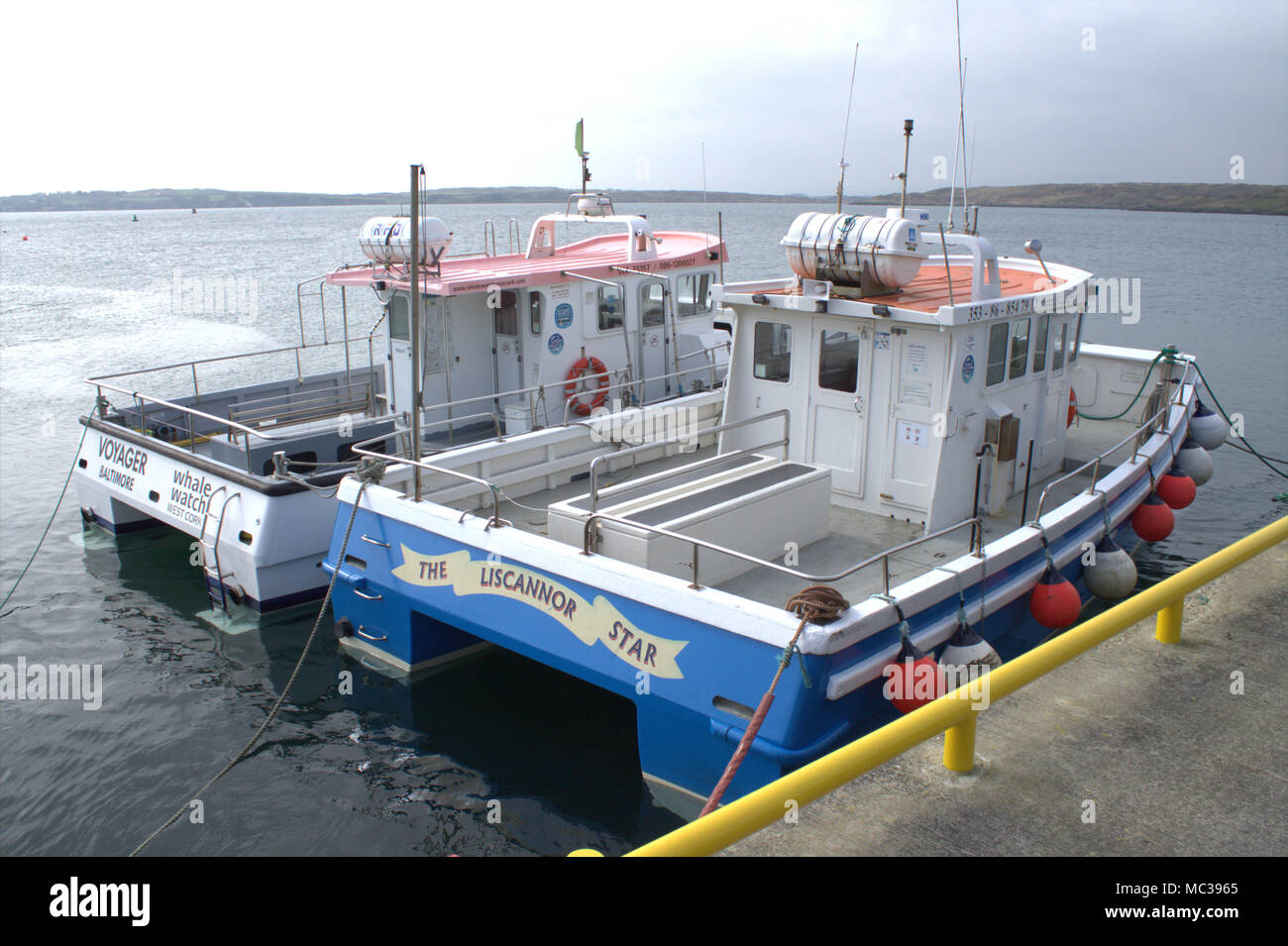 I turisti barche ormeggiate al fianco di Baltimore jetty, West Cork, Irlanda. Pronto per il charter per la pesca e per il whale watching escursioni durante la stagione delle vacanze. Foto Stock