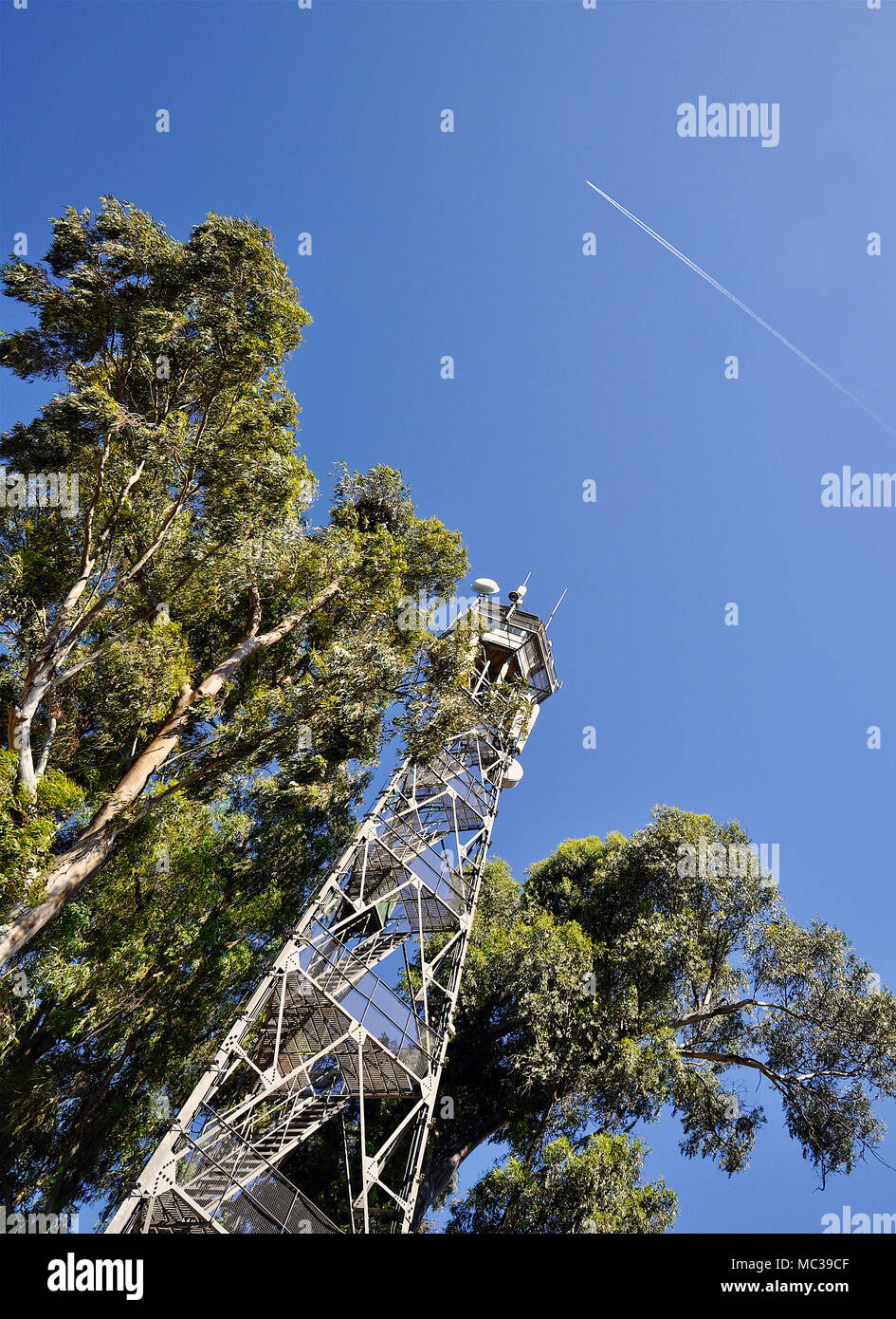 Tower con apparecchiature di telecomunicazione e di alberi di eucalipto a Palacio de Doñana nel Parco Nazionale di Doñana (Huelva, Andalusia, Spagna) Foto Stock