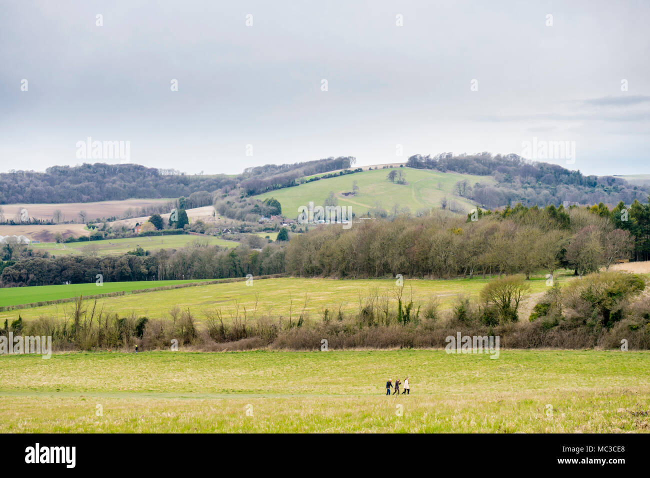Vista da Cissbury Ring, uno dei più grandi hill forti in Europa, oltre il South Downs National Park nella contea inglese del West Sussex, in Inghilterra, Regno Unito Foto Stock