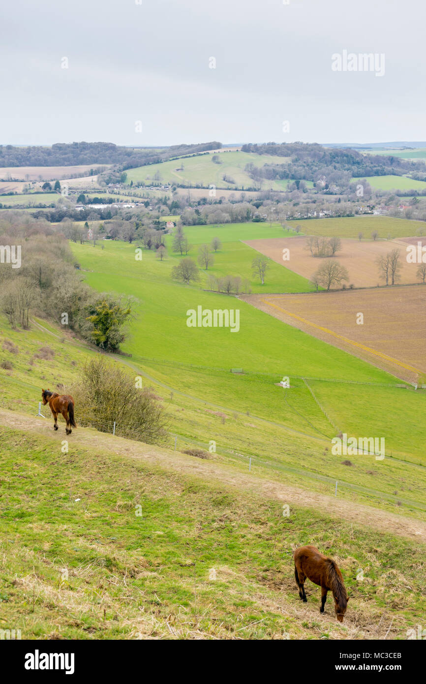 Vista da Cissbury Ring, uno dei più grandi hill forti in Europa, oltre il South Downs National Park nella contea inglese del West Sussex, in Inghilterra, Regno Unito Foto Stock