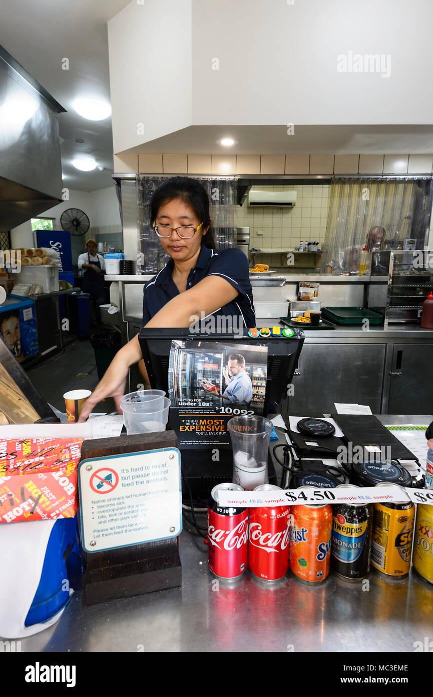 Asian un dipendente che lavora presso un cibo take-away shop, Isola Verde, della Grande Barriera Corallina, estremo Nord Queensland, QLD, FNQ, GBR, Australia Foto Stock