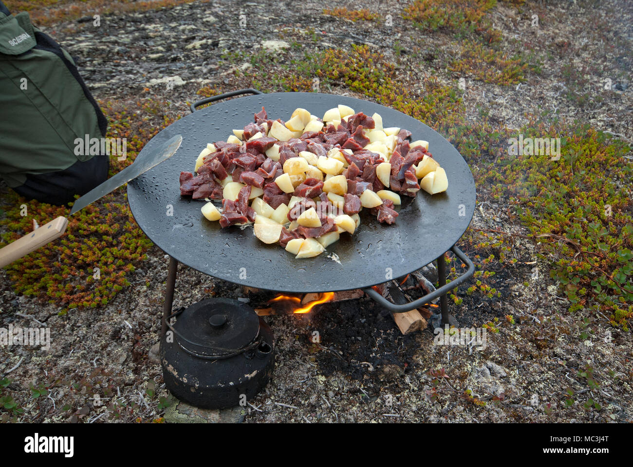 La cottura di carne di renna e patate nella Stora Sjofallet National Park, Norrbotten County, Svezia Foto Stock