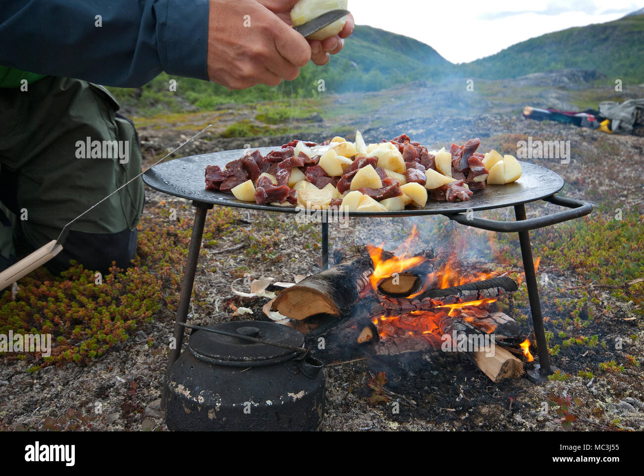 La cottura di carne di renna e patate nella Stora Sjofallet National Park, Norrbotten County, Svezia Foto Stock