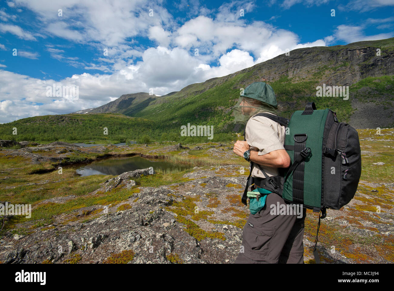 Trekker con hat per proteggere dalle zanzare, Stora Sjofallet National Park, Norrbotten County, Svezia Foto Stock