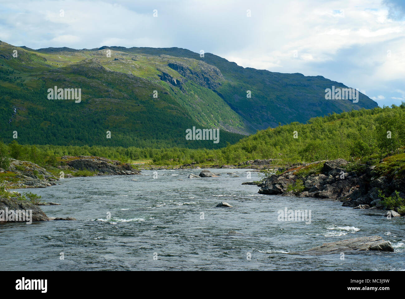 Fiume di Stora Sjofallet National Park, Norrbotten County, Svezia Foto Stock