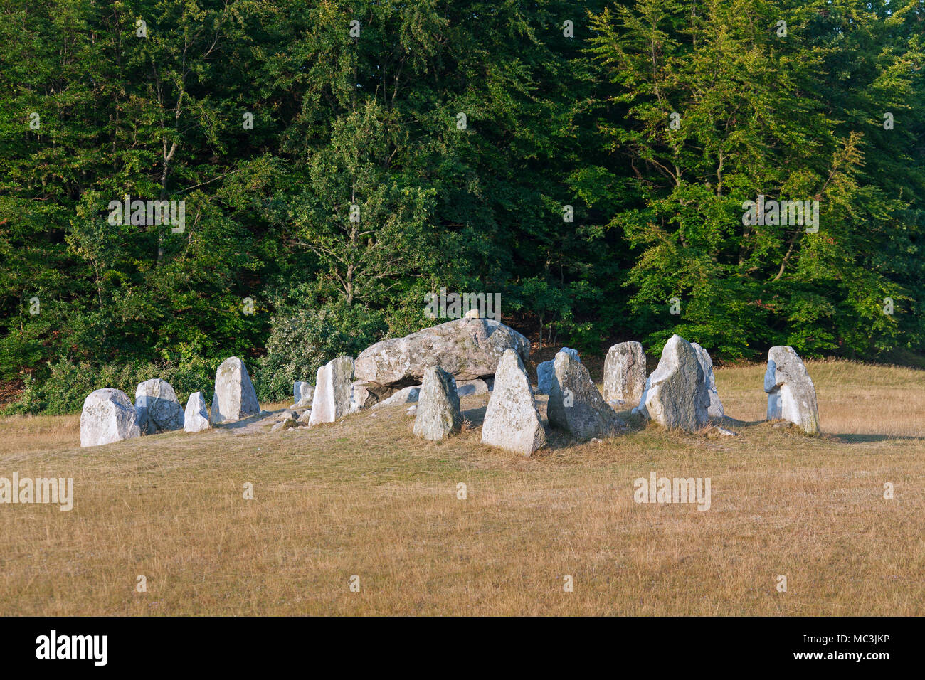 Havängsdösen, tomba megalitica e dolmen vicino a Kivik, Haväng, Österlen, Skåne / Scania in Svezia Foto Stock