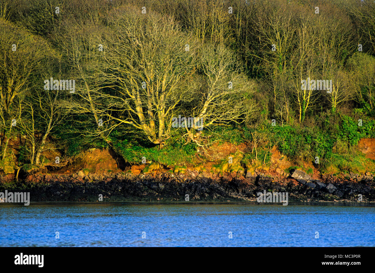 Inquinamento da idrocarburi sulle coste, Il Pembrokeshire Coast National Park, Pembrokeshire, Wales, Regno Unito, GB. Foto Stock