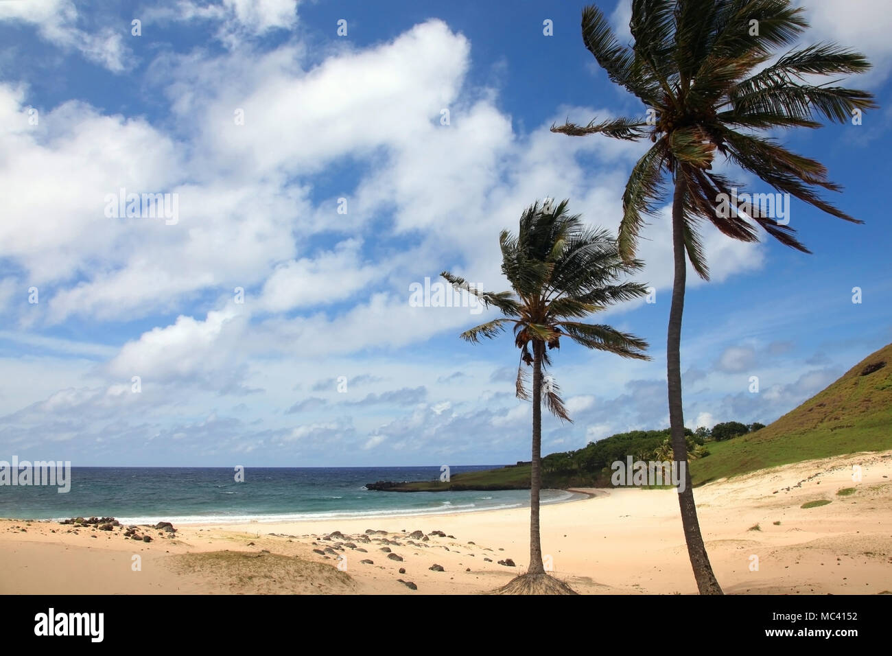 Bellissima spiaggia di Anakena, con sabbia dorata e palme tropicali, l'isola di pasqua, Cile. Foto Stock