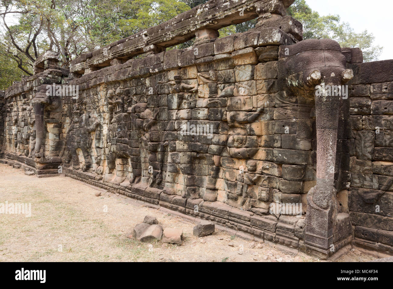 L antico elefante scolpito terrazza, Angkor Thom, Angkor Sito Patrimonio Mondiale dell'UNESCO, Siem Reap Provincia, Cambogia Asia Foto Stock