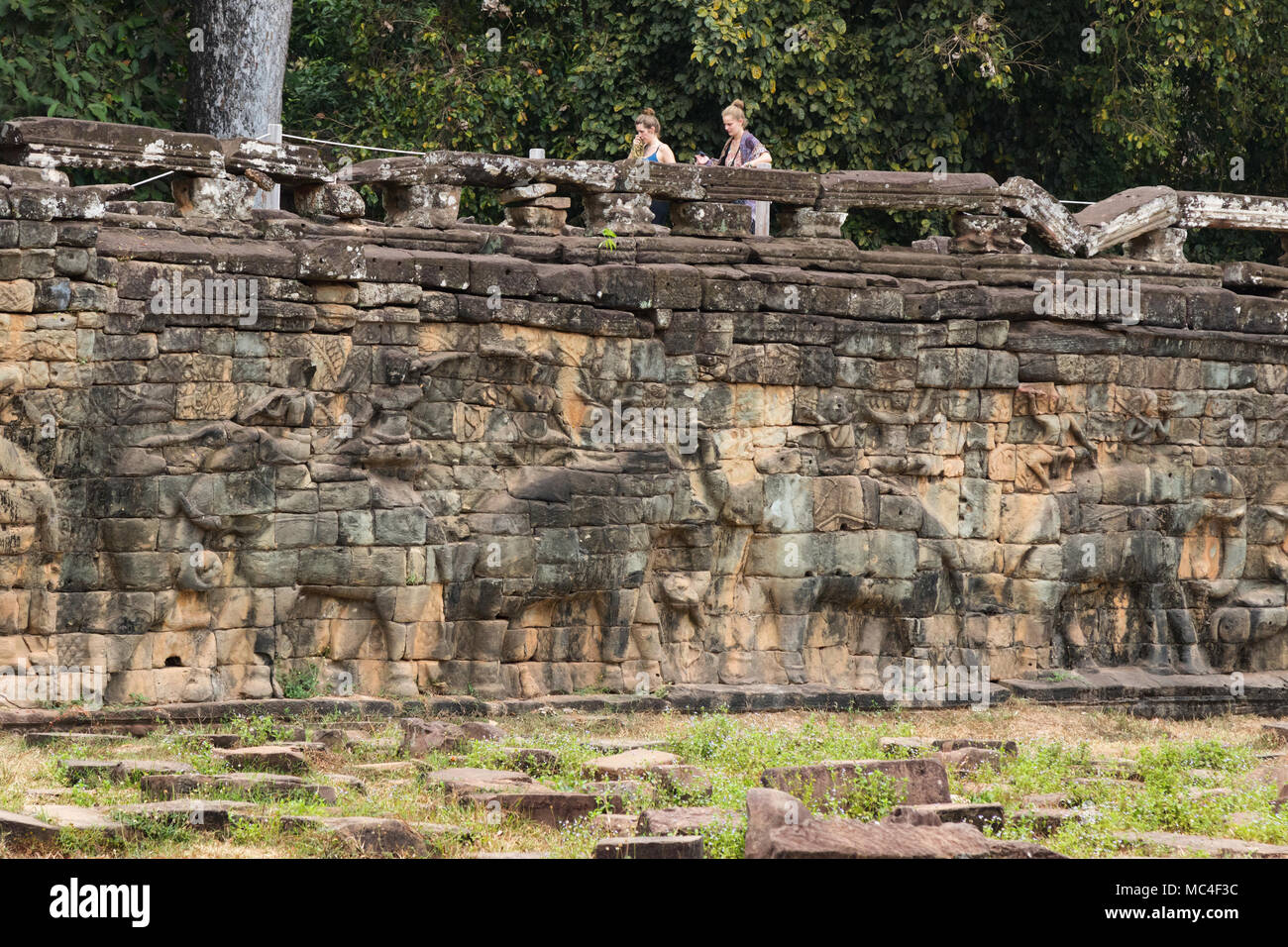 L antico elefante scolpito terrazza, Angkor Thom, Angkor Sito Patrimonio Mondiale dell'UNESCO, Siem Reap Provincia, Cambogia Asia Foto Stock
