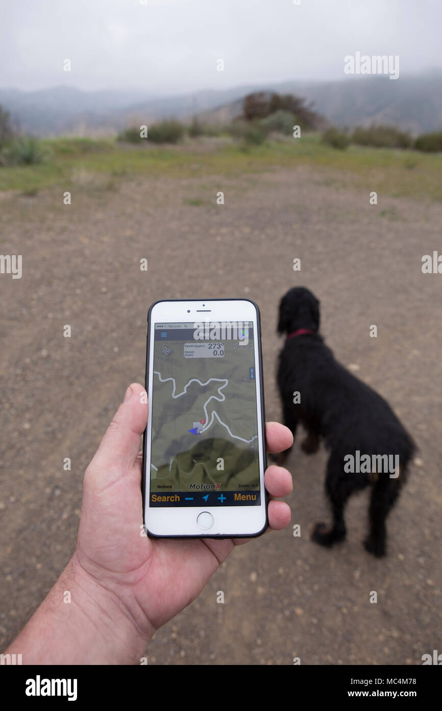 Utilizzando il GPS motionX app su un iPhone 6 plus per navigare un sentiero escursionistico con un cane in Santa Ana montagne Orange County in California USA Foto Stock