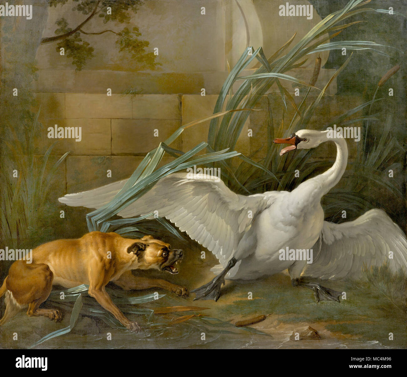 Jean-Baptiste Oudry, Swan attaccato da un cane 1745 olio su tela. North Carolina Museum of Art di Raleigh, Stati Uniti d'America. Foto Stock