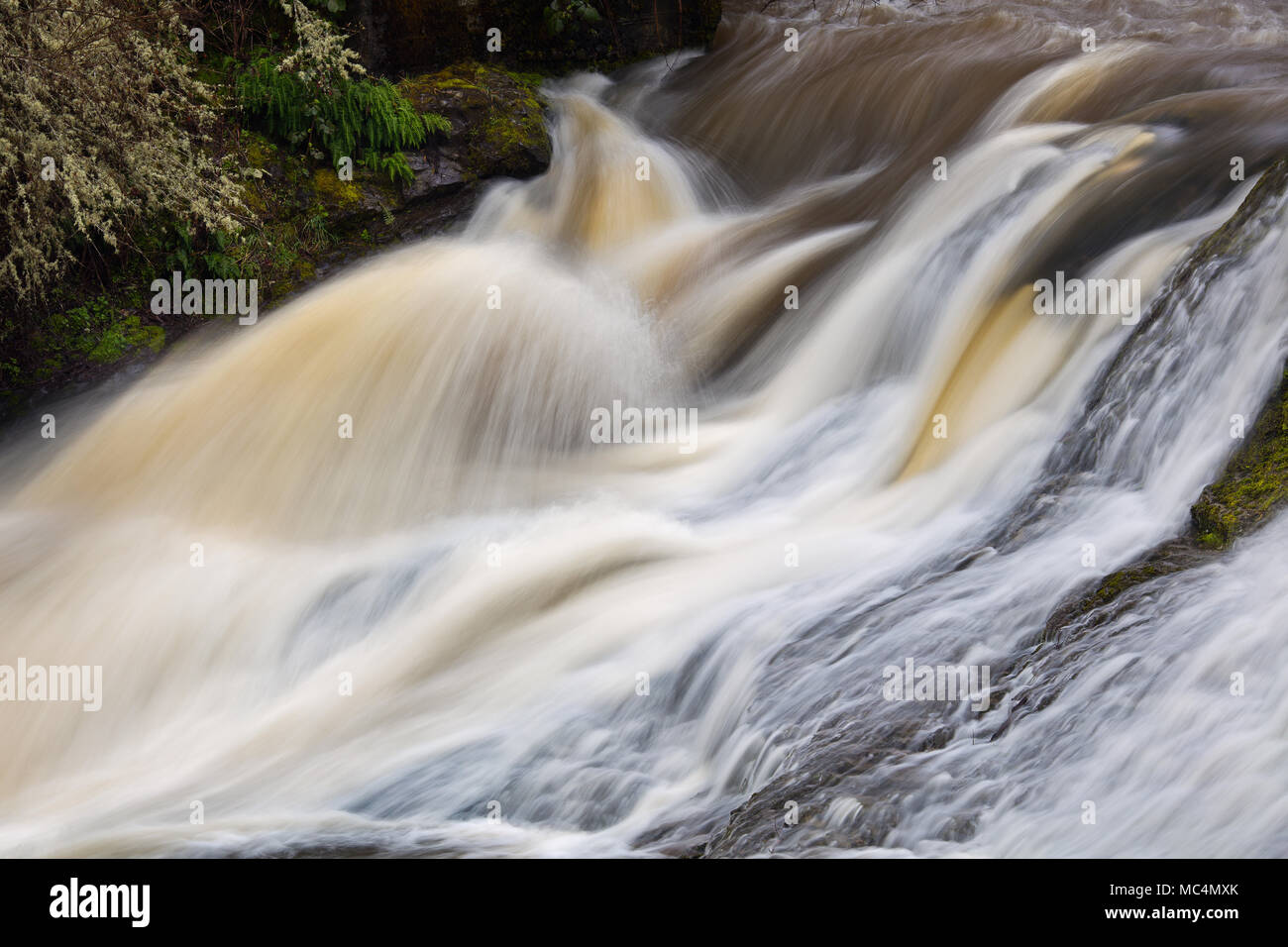 Sopra la cascata Mashel cade, poco Mashel River, nello Stato di Washington Foto Stock