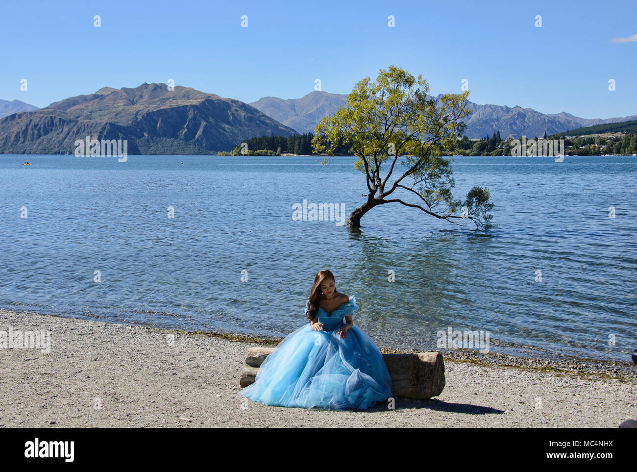 Il famoso Albero di Wanaka, il lago Wanaka, Nuova Zelanda Foto Stock