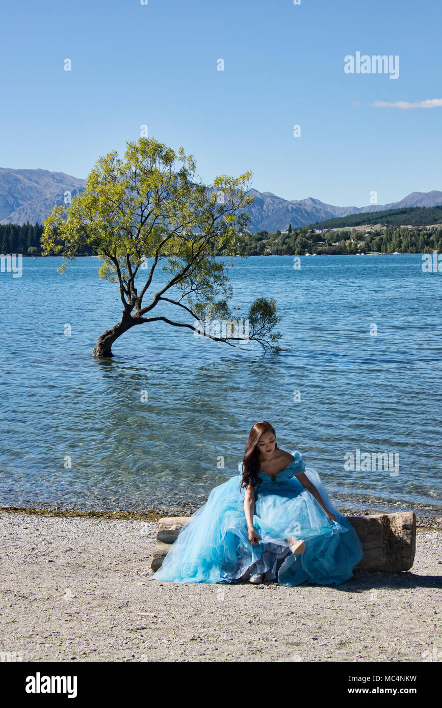 Il famoso Albero di Wanaka, il lago Wanaka, Nuova Zelanda Foto Stock