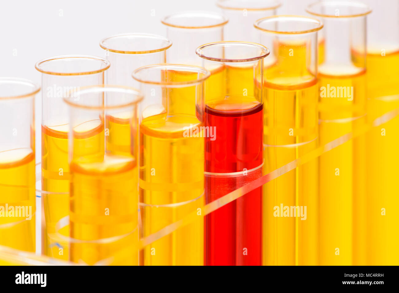 Esperimento scientifico nel laboratorio di chimica con liquido in tubi di prova Foto Stock
