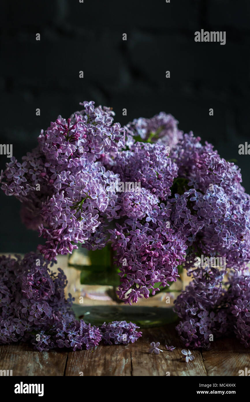 Boccola di lilla, lilla fiori stagionali naturali sfondo floreale. Può essere utilizzata come carta vacanze con copia spazio. Close up. Foto Stock