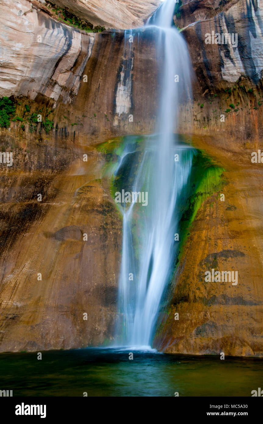 Abbassare Calf Creek Falls; Grand Staircase-Escalante Monumento Nazionale Utah Foto Stock