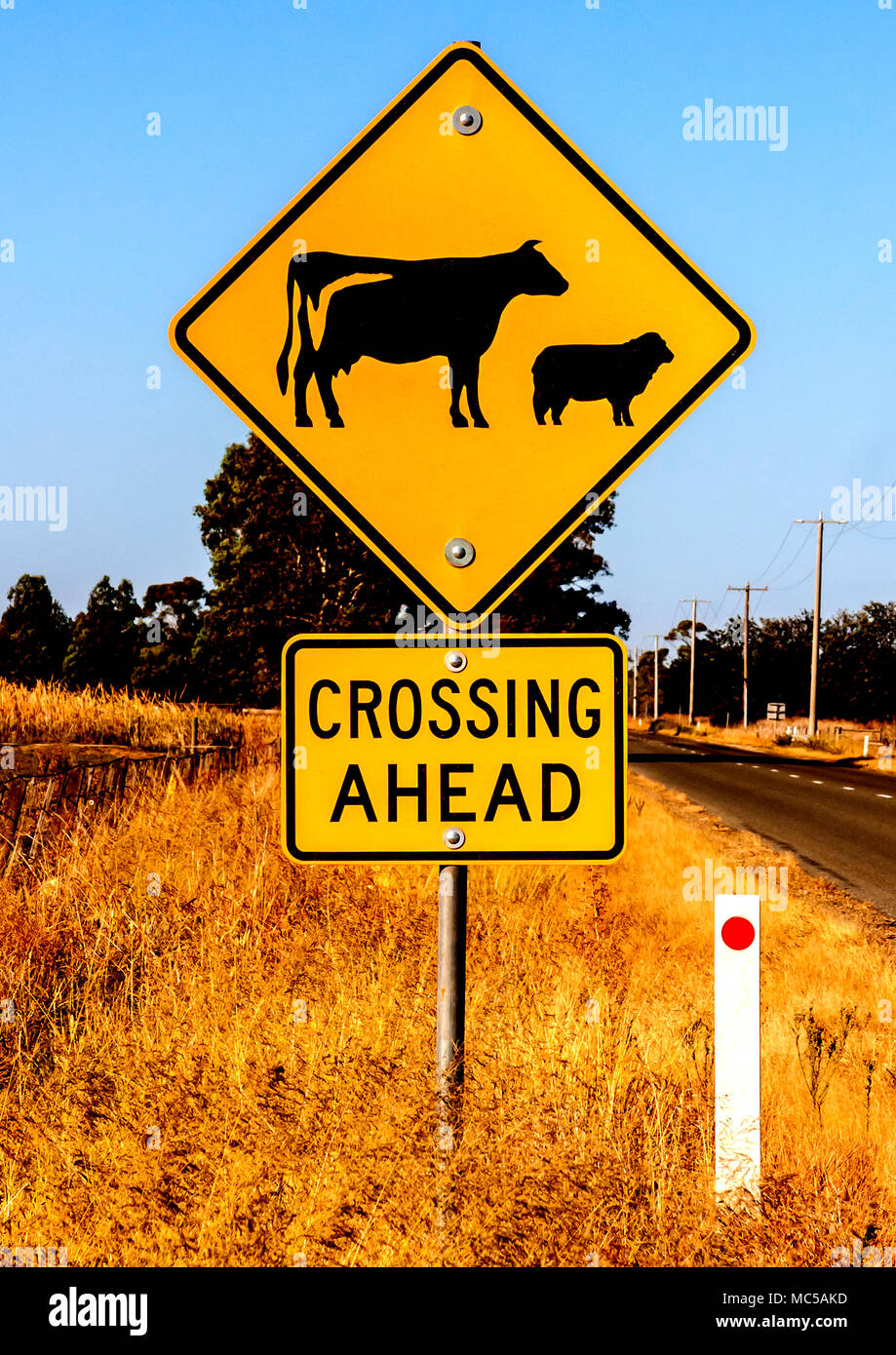 Cartello stradale, animali attraversando avanti sulla strada di campagna in NSW Foto Stock