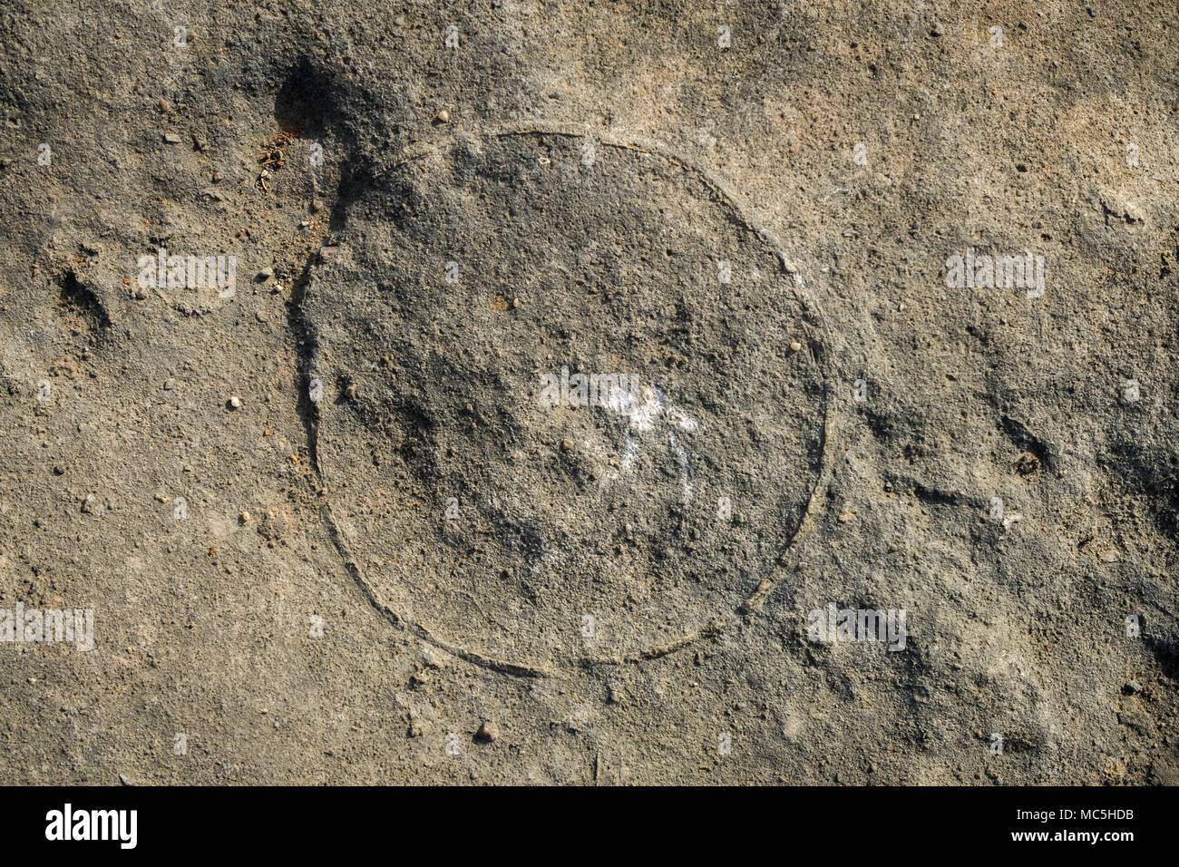 Foto di fossili di dinosauro (uova) catturato Balasinor parco fossile, Gujarat, India. Foto Stock
