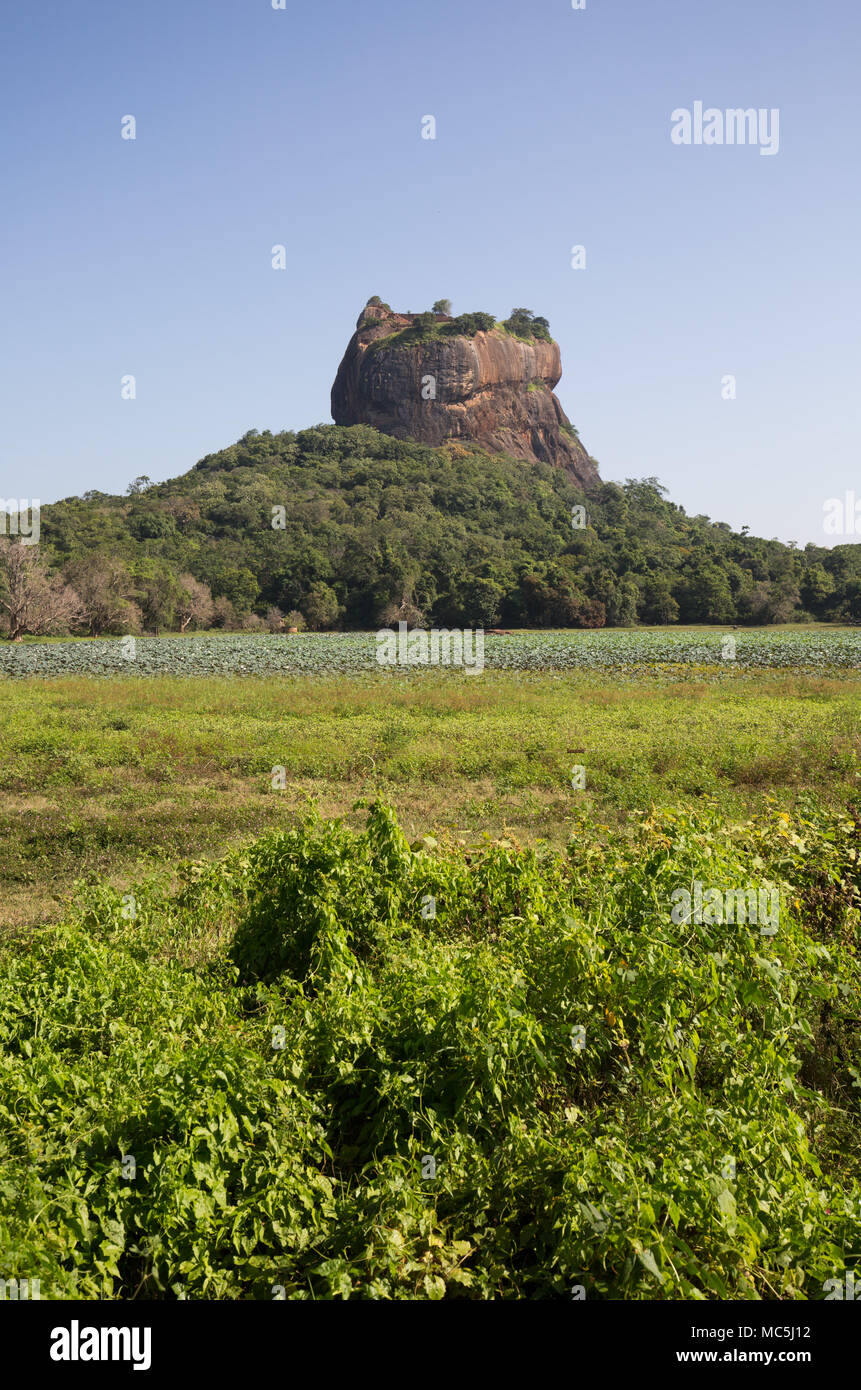 Vista di Sigiriya rock fortezza, provincia centrale, Sri Lanka, in Asia. Foto Stock