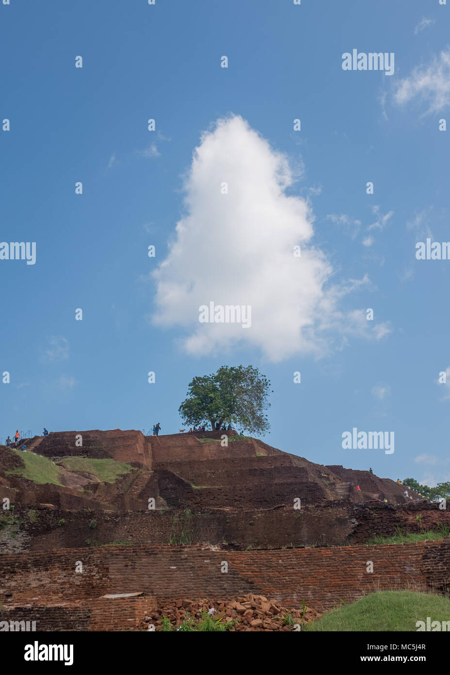 Vista di Sigiriya rock fortezza, provincia centrale, Sri Lanka, in Asia. Foto Stock