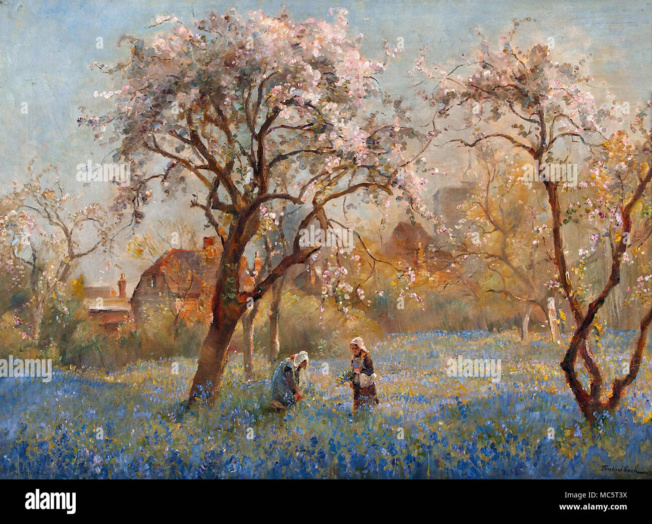 Snell James Herbert - Giacinti selvatici e Apple Blossom Foto Stock