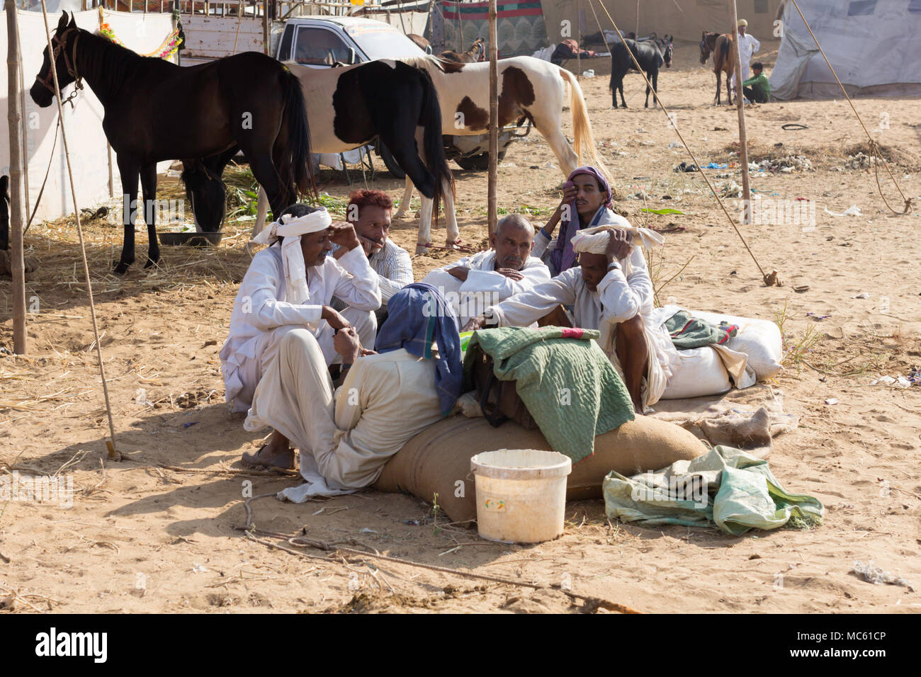 Di commercianti e di Marwari cavalli al Pushkar Camel Fair, Rajasthan, India. Foto Stock