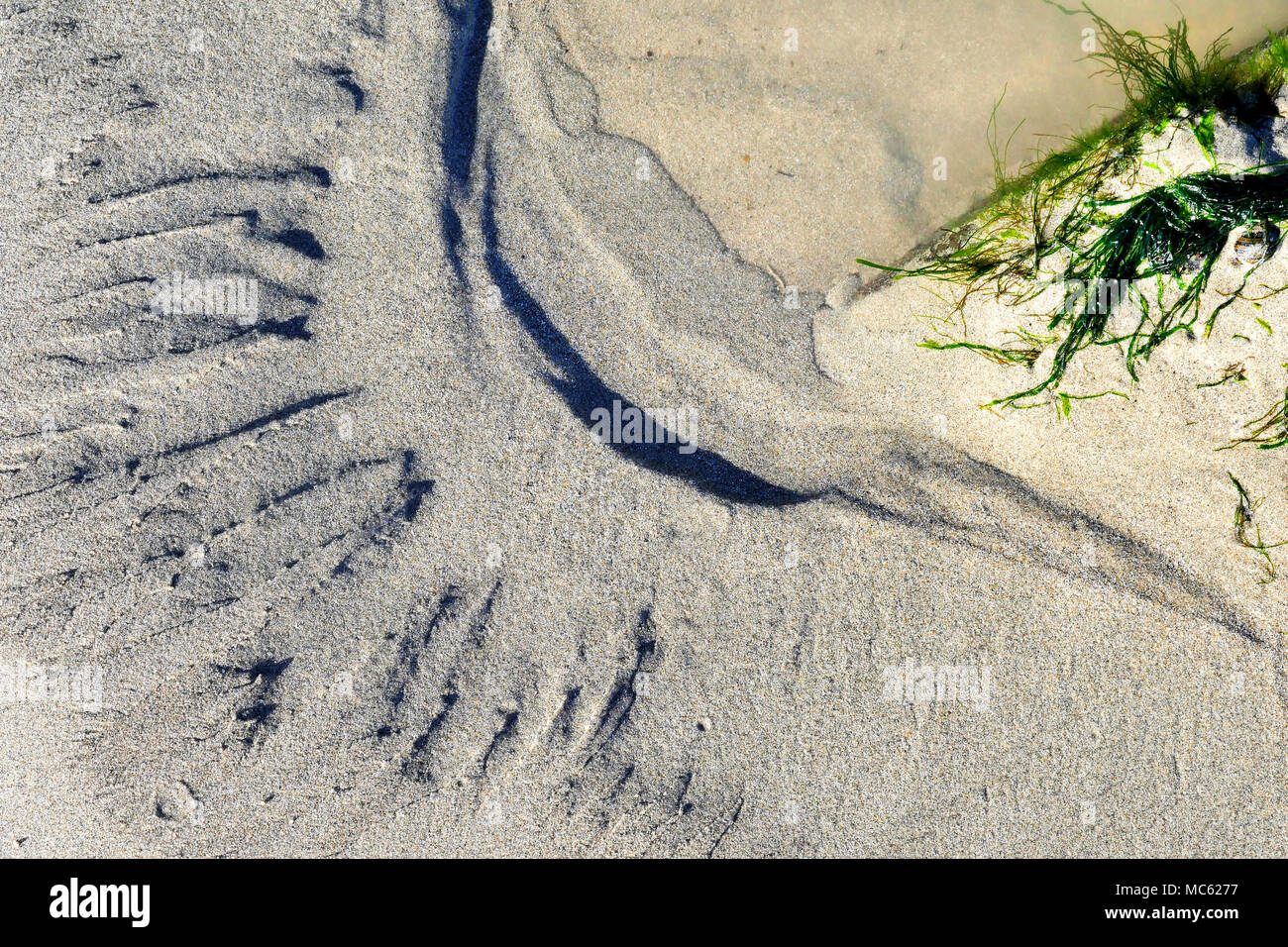 Modelli di sabbia e texture. Foto Stock