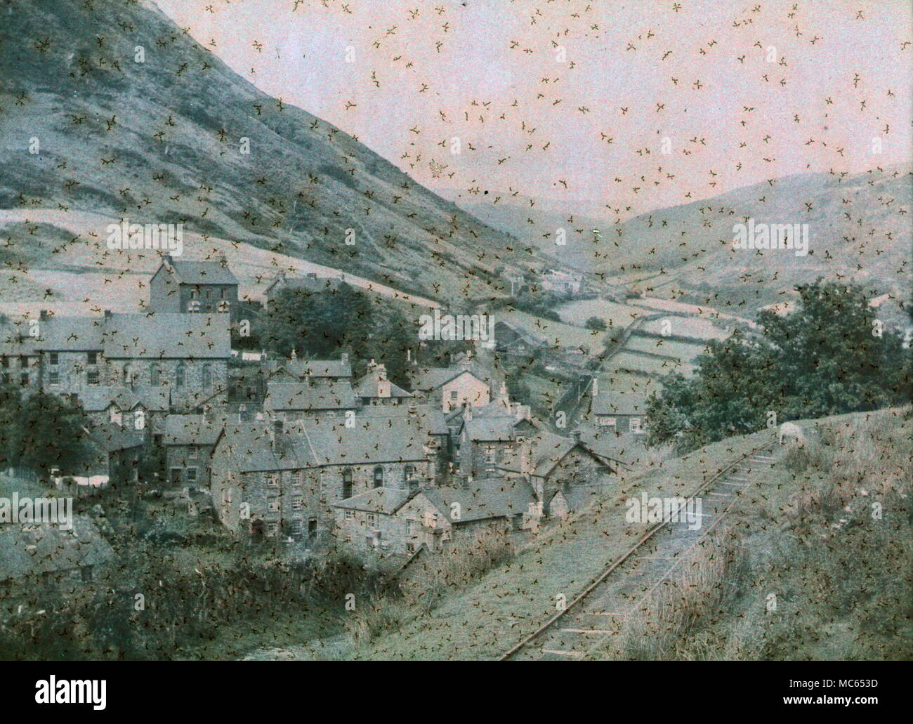 AJAXNETPHOTO. 1911 (circa). MERIONETHSHIRE, Wales, Regno Unito. - Vista EFFETTUATA CON INIZIO AUTOCHROME FILM colore. Fotografo:sconosciuto © IMMAGINE DIGITALE COPYRIGHT VINTAGE AJAX Picture Library Fonte: AJAX FOTO VINTAGE COLLEZIONE REF:(C)AVL ACHM 1911 01 Foto Stock