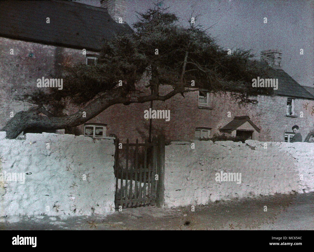 AJAXNETPHOTO. 1920 s (CIRCA). MERIONETHSHIRE, GALLES, REGNO UNITO. - VISTA FATTA CON LA PRIMA PELLICOLA A COLORI AUTOCHROME. FOTOGRAFO:UNKNOWN © COPYRIGHT IMMAGINE DIGITALE AJAX FONTE LIBRERIA IMMAGINI VINTAGE: AJAX RACCOLTA DI IMMAGINI VINTAGE RIF:(C)AVL ACHM 1911 17 Foto Stock