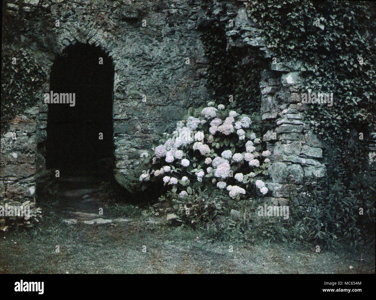 AJAXNETPHOTO. 1920 s (CIRCA). MERIONETHSHIRE, GALLES, REGNO UNITO. - VISTA FATTA CON LA PRIMA PELLICOLA A COLORI AUTOCHROME. FOTOGRAFO:UNKNOWN © COPYRIGHT IMMAGINE DIGITALE AJAX FONTE LIBRERIA IMMAGINI VINTAGE: AJAX RACCOLTA DI IMMAGINI VINTAGE RIF:(C)AVL ACHM 1911 22 Foto Stock