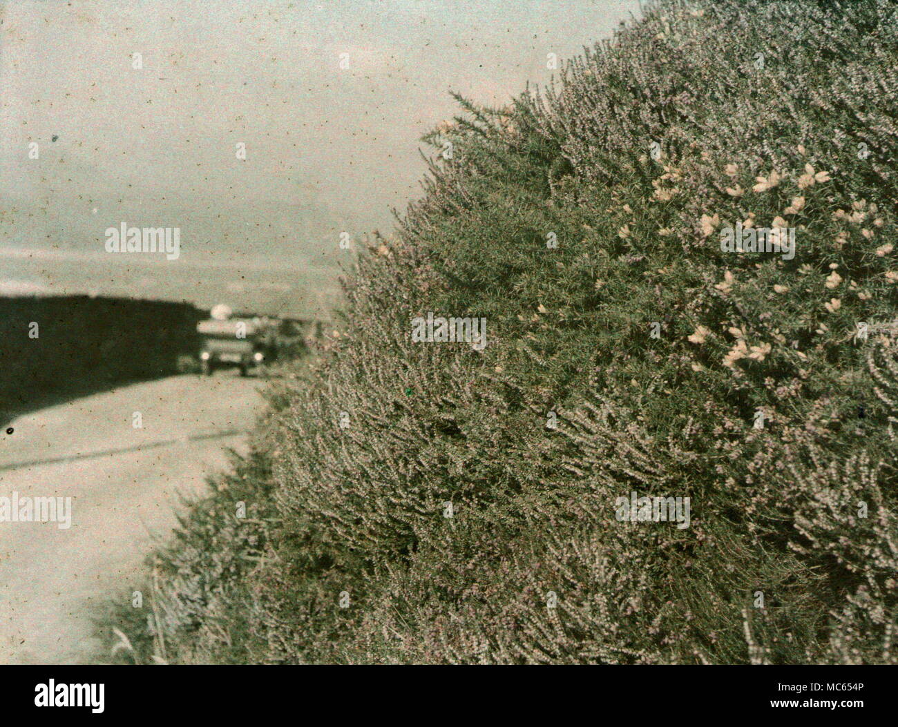 AJAXNETPHOTO. 1920 s (CIRCA). MERIONETHSHIRE, GALLES, REGNO UNITO. - VISTA FATTA CON LA PRIMA PELLICOLA A COLORI AUTOCHROME. FOTOGRAFO:UNKNOWN © COPYRIGHT IMMAGINE DIGITALE AJAX FONTE LIBRERIA IMMAGINI VINTAGE: AJAX RACCOLTA DI IMMAGINI VINTAGE RIF:(C)AVL ACHM 1911 25 Foto Stock