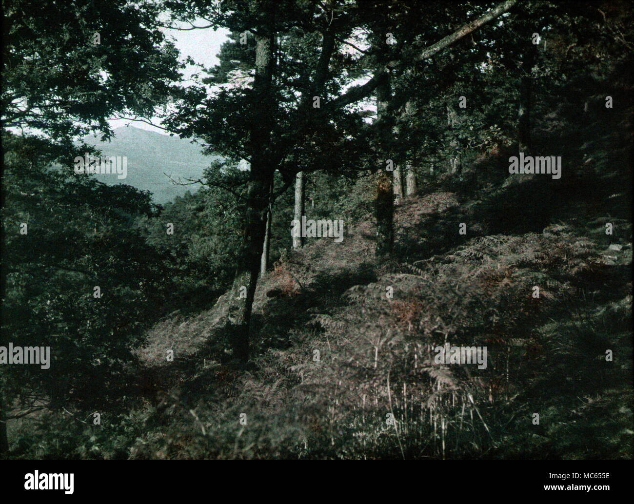 AJAXNETPHOTO. 1920 s (CIRCA). MERIONETHSHIRE, GALLES, REGNO UNITO. - VISTA FATTA CON LA PRIMA PELLICOLA A COLORI AUTOCHROME. FOTOGRAFO:UNKNOWN © COPYRIGHT IMMAGINE DIGITALE AJAX FONTE LIBRERIA IMMAGINI VINTAGE: AJAX RACCOLTA DI IMMAGINI VINTAGE RIF:(C)AVL ACHM 1911 42 Foto Stock