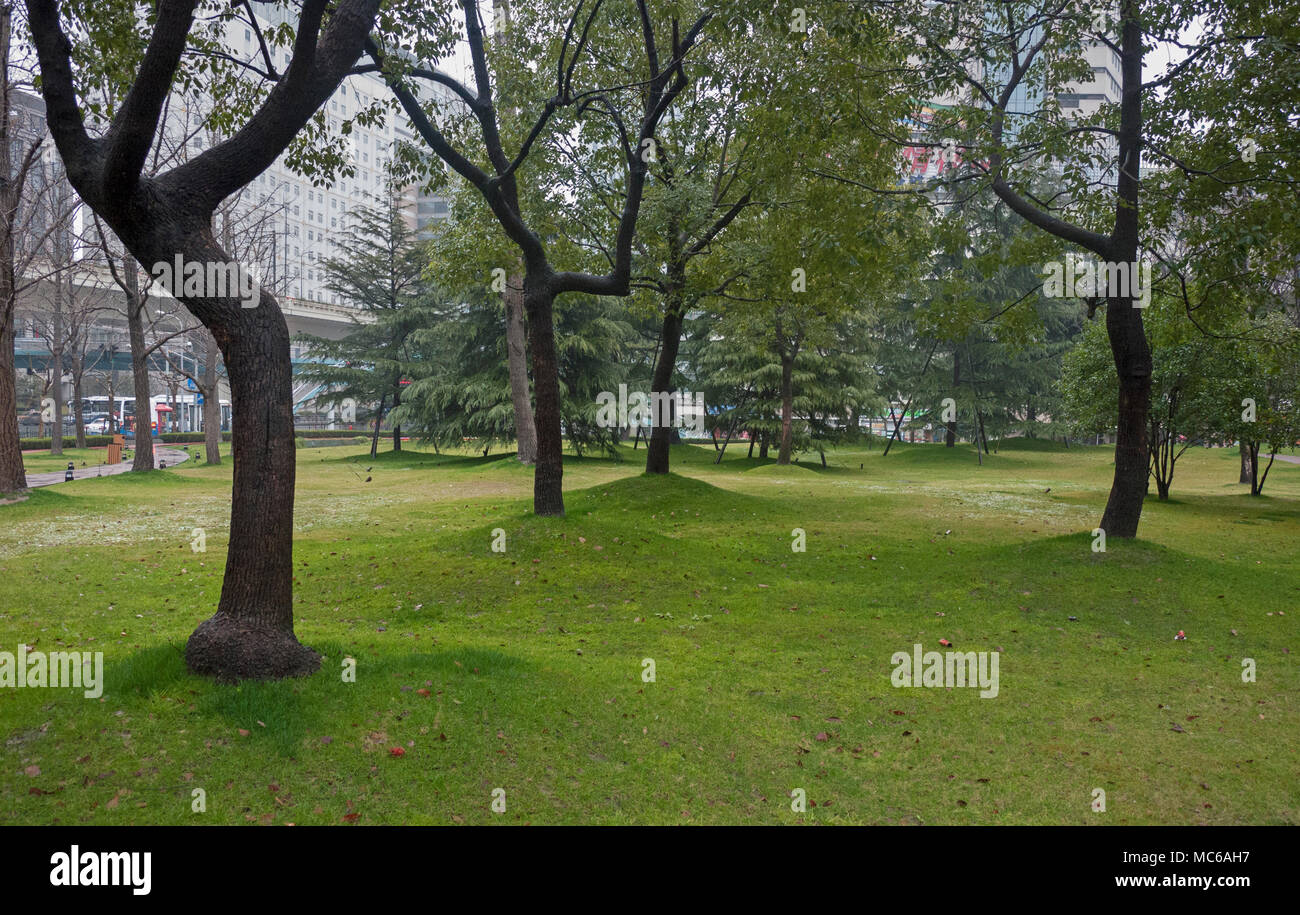 Alberi in città parco adiacente di Fujian South Road in inverno mattina dopo una leggera caduta di neve Foto Stock