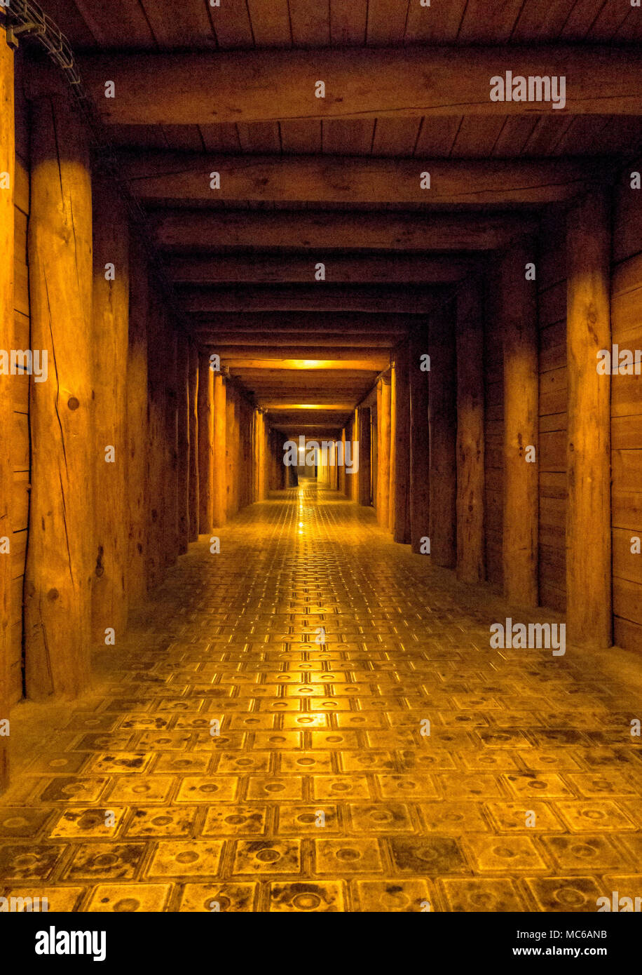 Illuminato tunnel sotterraneo. Foto Stock