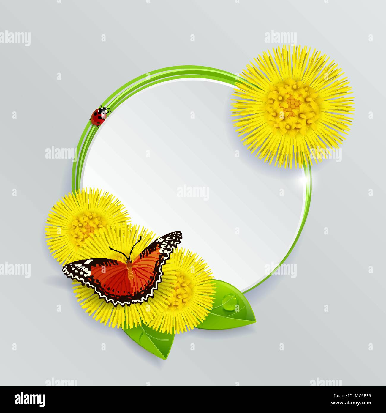 Banner floreali con la farfalla e la coccinella su uno sfondo luminoso Illustrazione Vettoriale