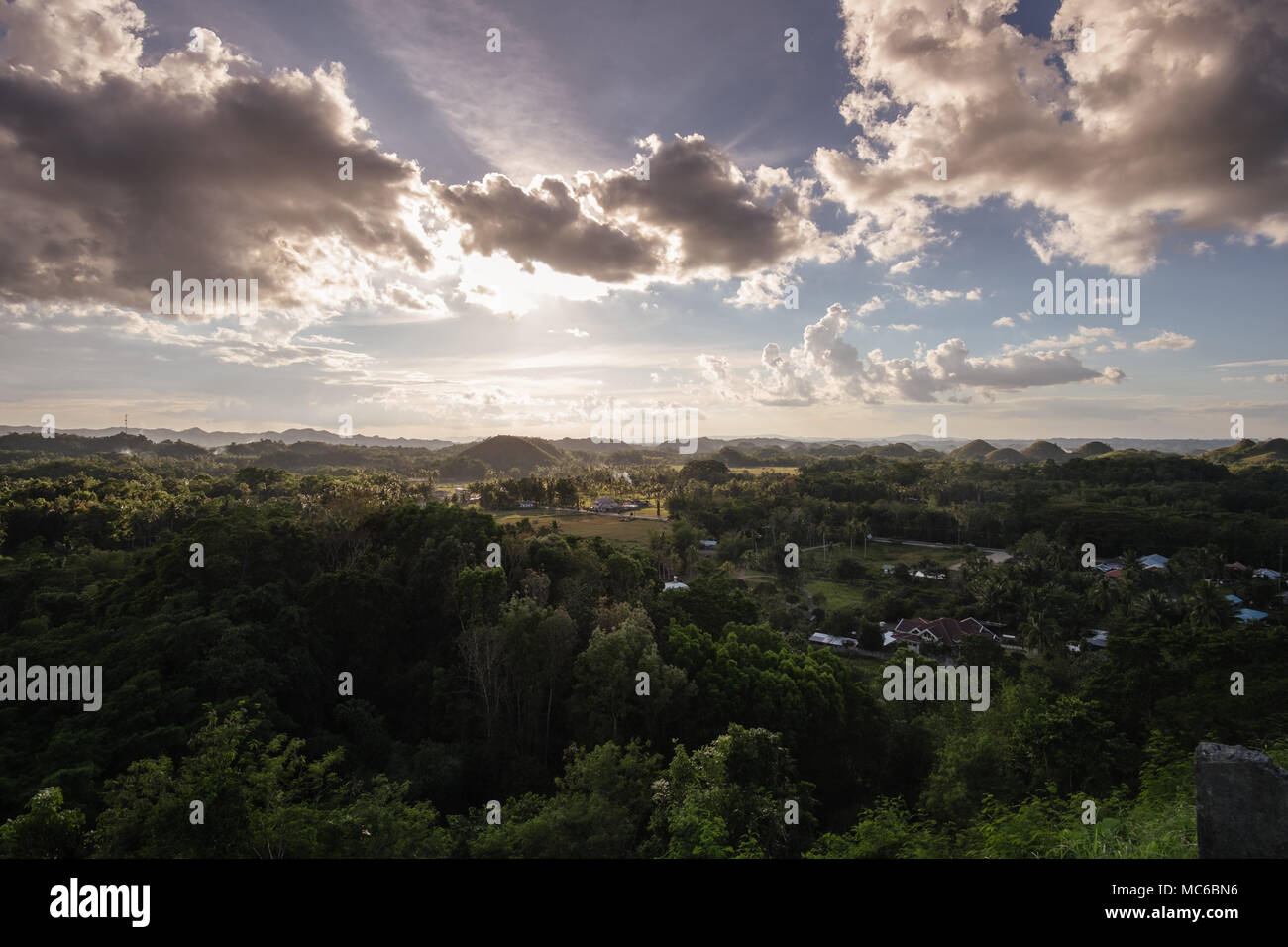 Le colline di cioccolato sono una formazione geologica in Bohol Provincia delle Filippine. Foto Stock