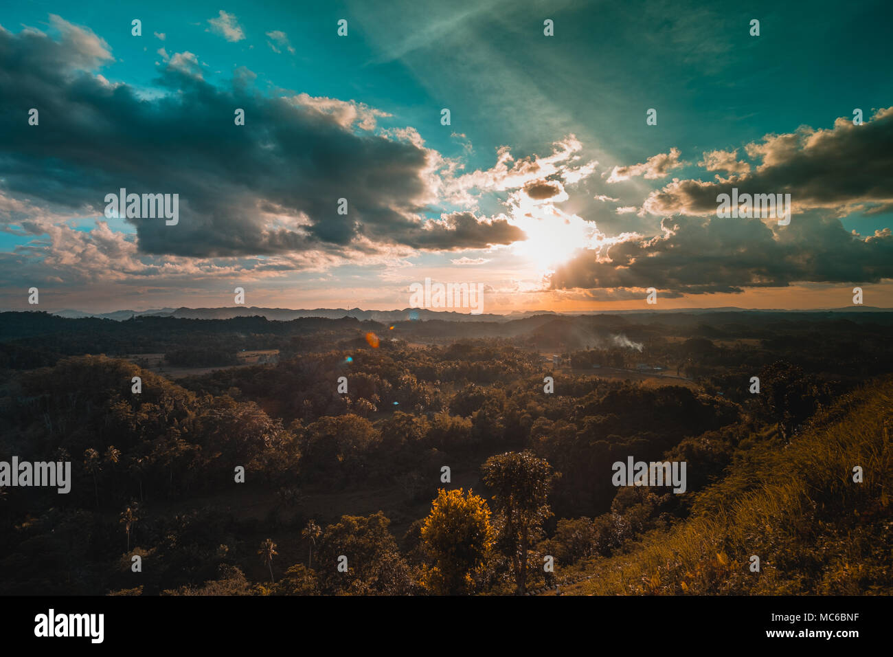 Le colline di cioccolato sono una formazione geologica in Bohol Provincia delle Filippine. Foto Stock