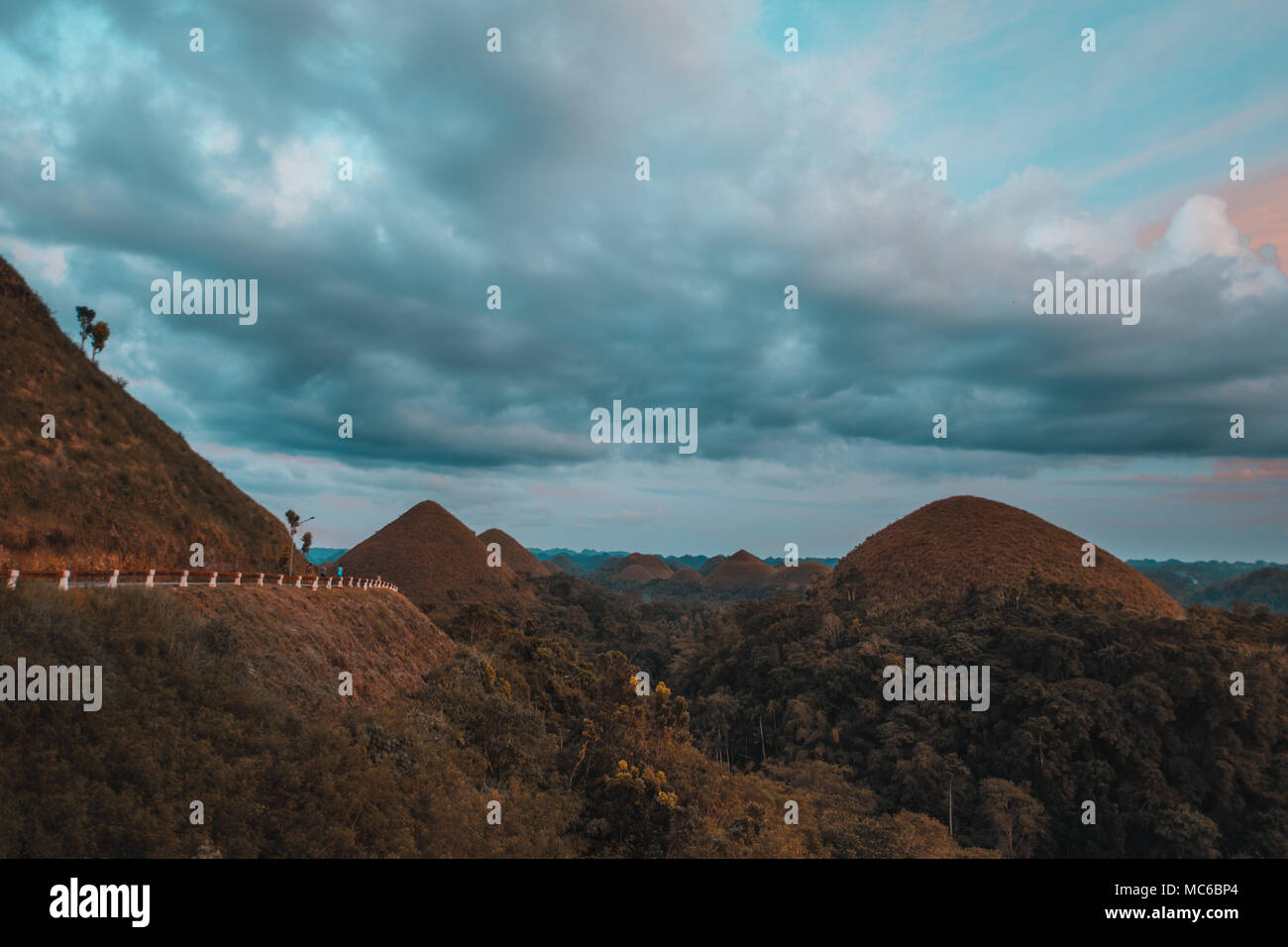Le colline di cioccolato sono una formazione geologica in Bohol Provincia delle Filippine. Foto Stock