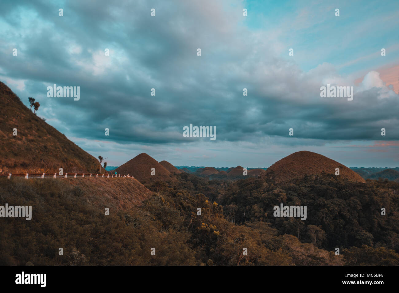 Le colline di cioccolato sono una formazione geologica in Bohol Provincia delle Filippine. Foto Stock